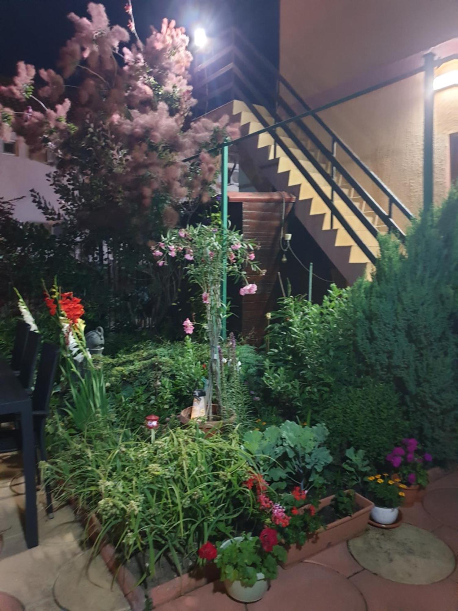 Casa Mary Hotel Costinești Kültér fotó